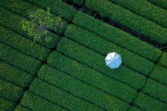 <b>法和不良消息举报德律风：举报邮箱：报受理和</b> 