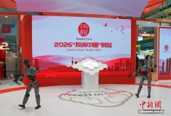 公司副总裁陈洪波引见 